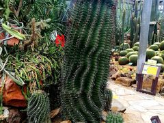 -华南国家植物园-售票处