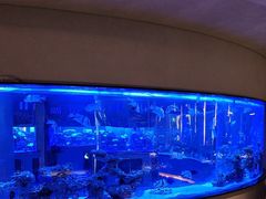 -上和臻品中国菜(花园街店)