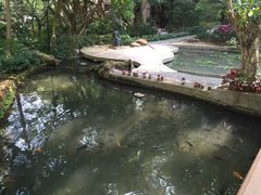 -香港大学