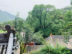 -潭柘寺景区