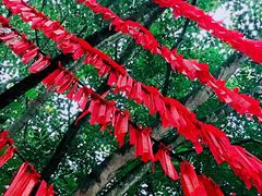 -西双版纳总佛寺