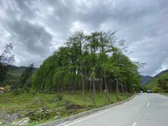 -硗碛藏寨·神木垒景区