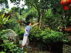 -青城甲(青城山店)