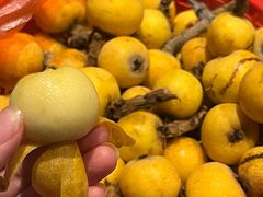 -苏州吴中太湖旅游区