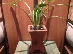 -南堂小馆·川菜馆(德商国际店)