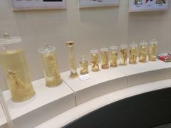 -广东中医药博物馆