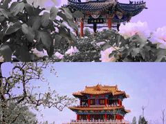 -水浒好汉城