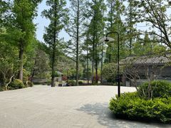 -东明山森林公园