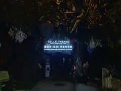 -花之城