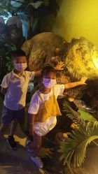 -恐龙探索乐园(磁器口店)