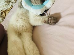 -酷宠动物医院(天通西苑店)