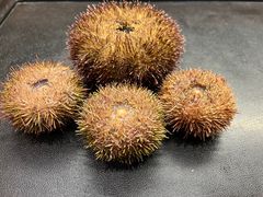-万鱼亭 日本料理(无锡香山名园店)