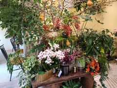 -花二家·生活馆(六运小区店)