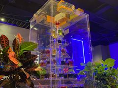 -blue frog蓝蛙(长泰广场店)