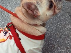 -Peet's 皮爷咖啡(东湖路手作店)