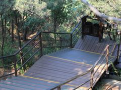 -沂蒙山旅游区云蒙景区(蒙山国家森林公园)