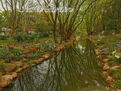 -上海共青森林公园