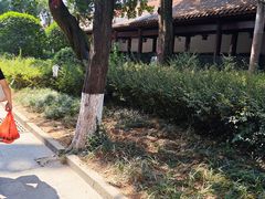 -南岳衡山风景名胜区-南岳大庙