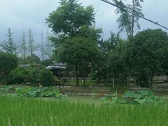 -洪湖家庭农场·团建·露营·会议