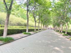 -洛阳市隋唐城遗址植物园