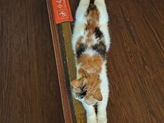 -猫岛主趣味餐厅(鼓浪屿店)