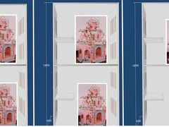 -青奢宠物·青奢猫舍