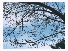 -周恩来同志少年读书旧址
