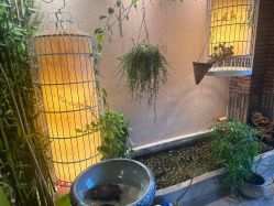 -威思丽高温瑜伽会馆