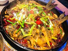 -老板恋上鱼(恒隆广场店)