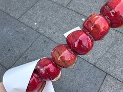 -糖葫芦王保定名吃(古莲花池店)