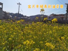 -军营村