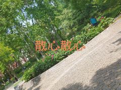 -玲珑塔公园