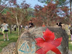 -广州市帽峰山景区