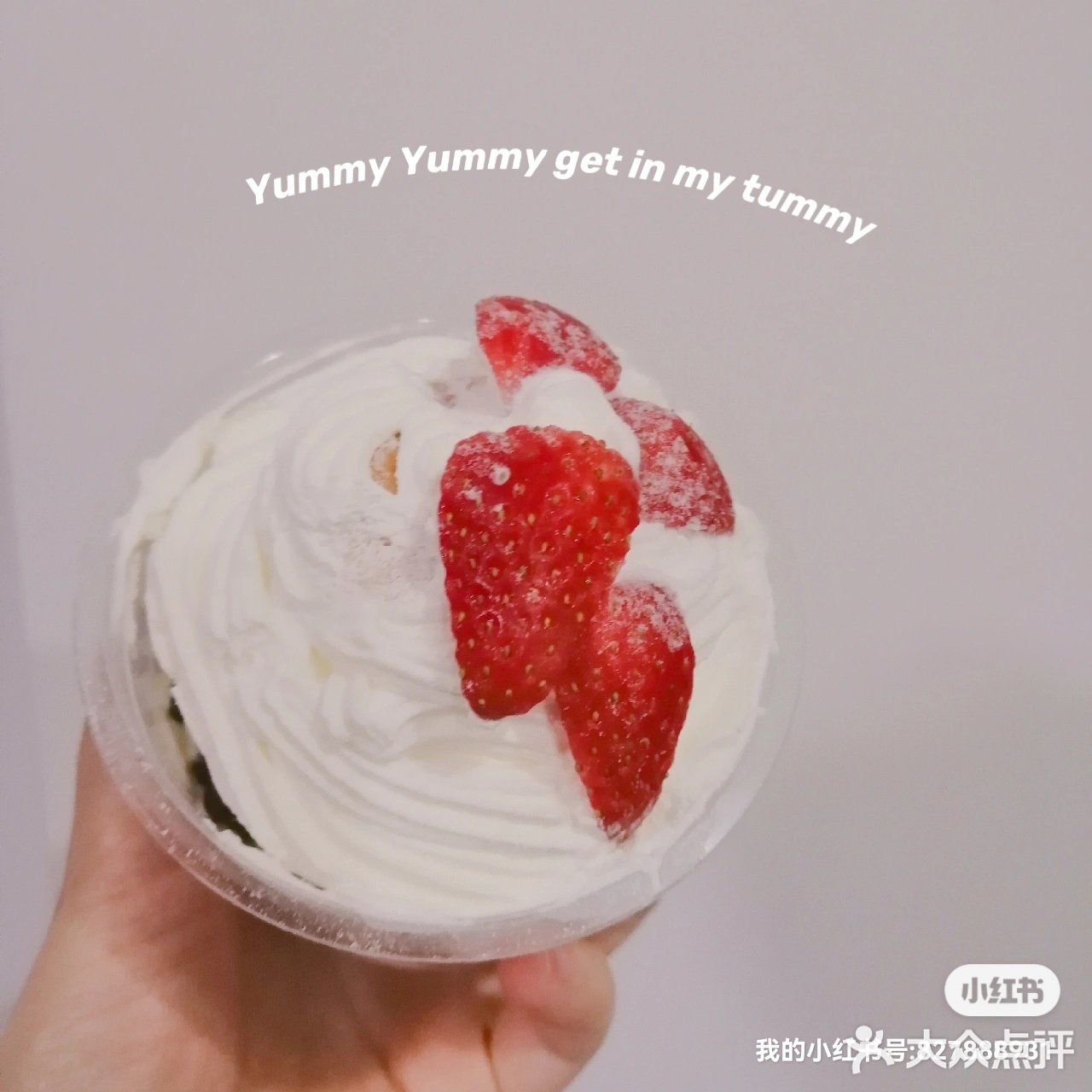 【蜜夏•烘焙】胖胖杯+发财杯+杯子蛋糕