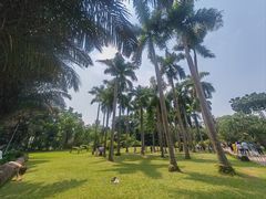 -中国科学院西双版纳热带植物园