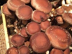 -大头椰·椰子鸡火锅(南宁万象城店)