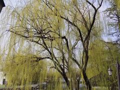 -J Create城市露营咖啡·简餐·宠物(上海动物园店)