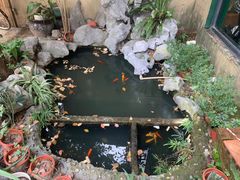 -憶廟街 X 沙角邨(太古城店)
