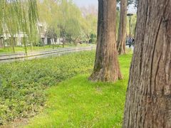 -西湖天地