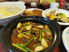 野生黄鳝煲-金锅小厨(乐活街店)