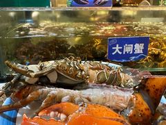 -亚马逊蒸汽活海鲜自助(LCM置汇旭辉广场店)