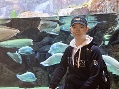 -成都浩海立方海洋公园