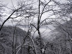 -九峰山