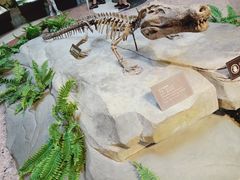 -自贡恐龙博物馆