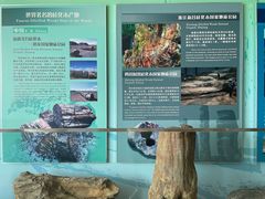 -延庆地质公园博物馆