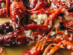 -杨氏青龙虾·羊蝎子(托乐嘉店)