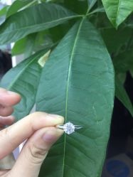 -威德钻石-克拉钻大本营(南京东路店)