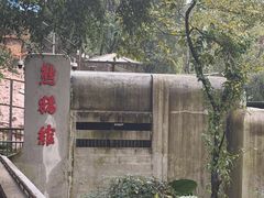 -昆明动物园