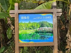 -天芳悦潭度假村温泉