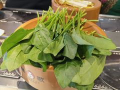 -龍歌自助小火锅(市南金茂湾店)
